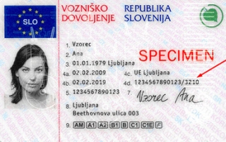 voznisko primer