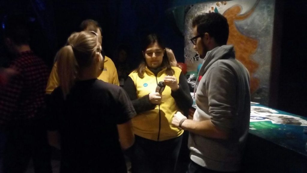 image-0-02-05-896e228c7eef2becd1880033e9da179136d554e92dd00aa6cfd8cef0aaeb0dbf-v