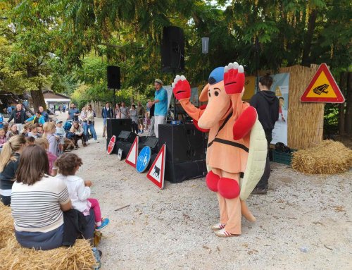 Prometni ZOO: prometna varnost skozi igro in praktične izkušnje